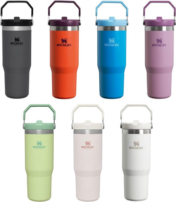IceFlow Flip Straw Tumbler | 0.89L – Stanley 1913
