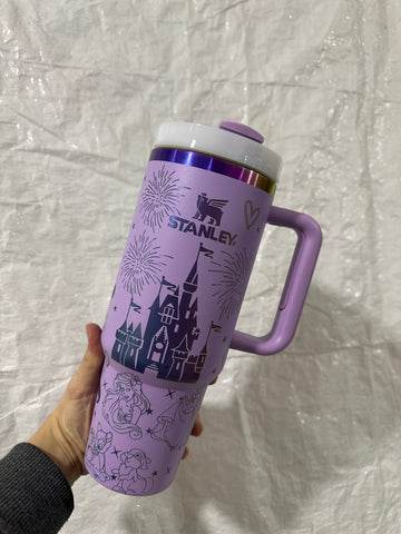 Disney Stanley